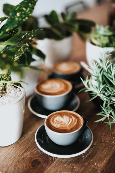 Premium roasted coffee for private label