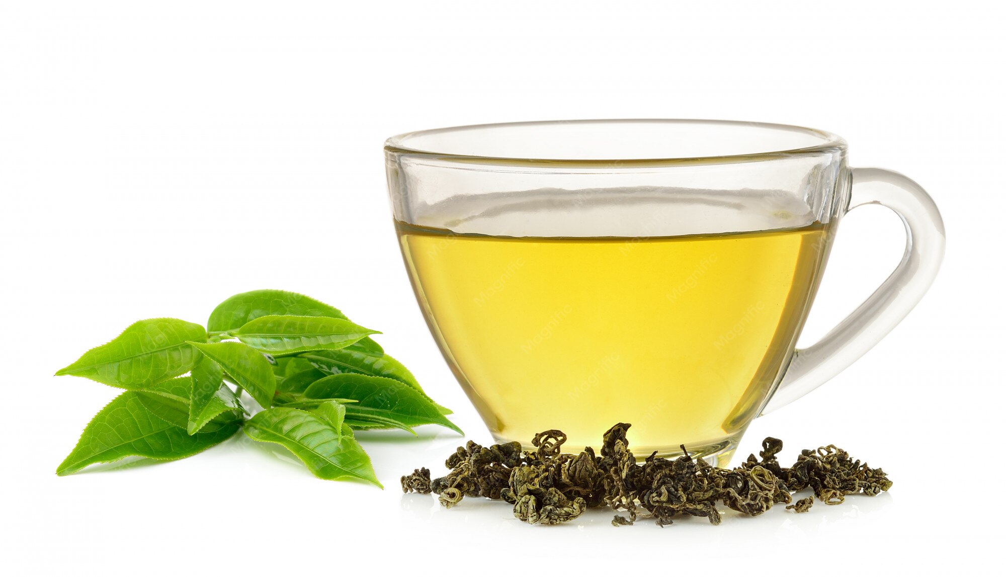 Premium green tea for bulk supply